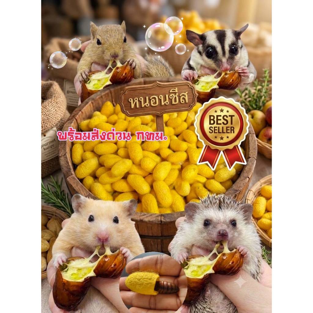 หนอนซีส พร้อมทาน ลูกละ 50 บาท สำหรับสัตว์เลี้ยง แฮมสเตอร์ ชูการ์ไรเดอร์ และเม่นแคระ จะทานเลยหรือต้ม อบ ย่าง อร่อยสุดๆ