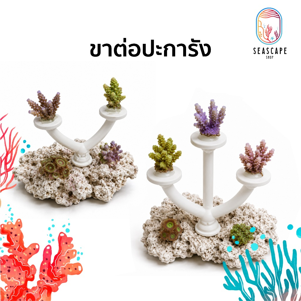 ขาต่อปะการัง 3D Print PETG ชั้นวาง Frag Coral แบบ 1 / 2 / 3 ก้าน สำหรับจัดระดับปะการังในตู้ทะเล