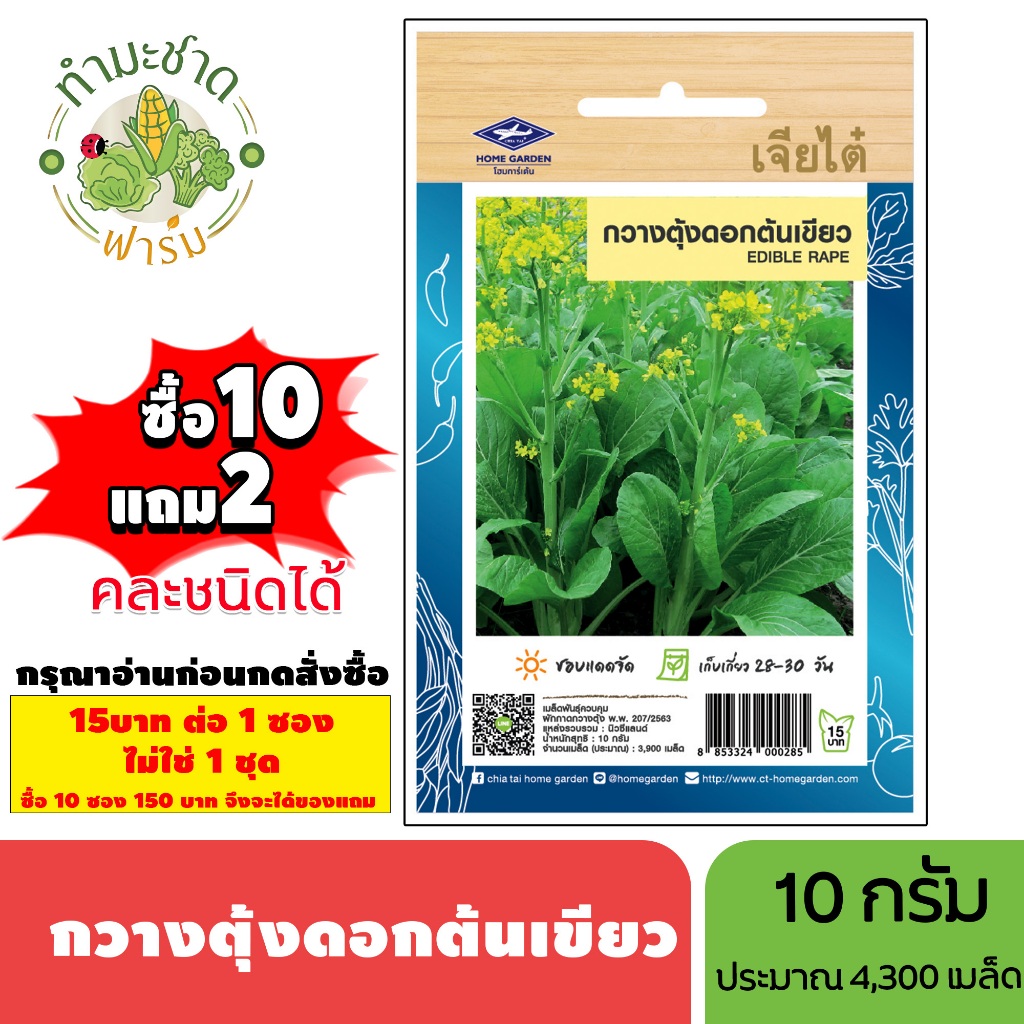 [1ซอง] เจียไต๋ (ซื้อ10แถม2) เมล็ดพันธุ์ กวางตุ้งดอกต้นเขียว ขนาด10กรัม ประมาณ3,900เมล็ด Flowering Pak Choy กวางตุ้ง เมล