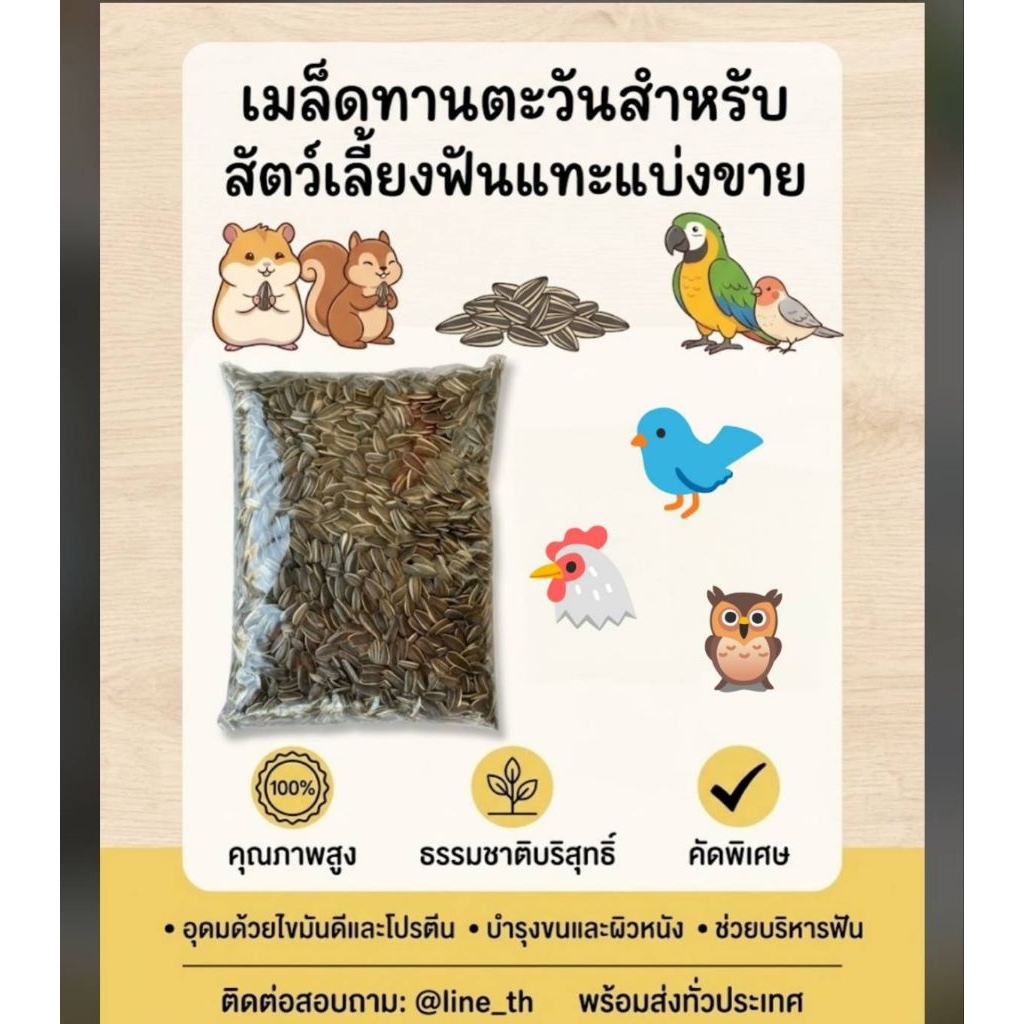 เมล็ดทานตะวันสำหรับสัตว์เลี้ยงพันธุ์แทะ แบ่งขาย #6