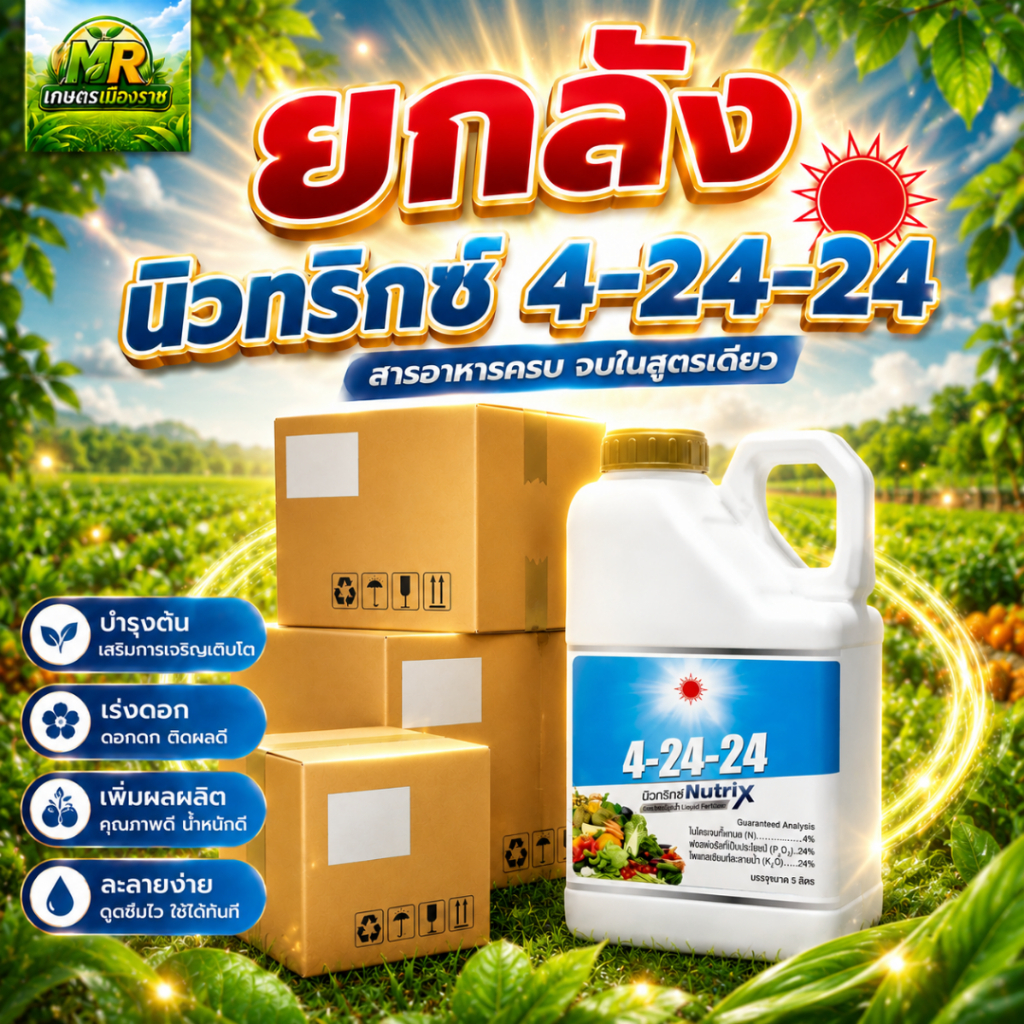 (ยกลัง5L*4) ปุ๋ยน้ำ 4-24-24 (แกลลอน 5 ลิตร) #เกษตรเมืองราช #ดวงตะวันเพชร