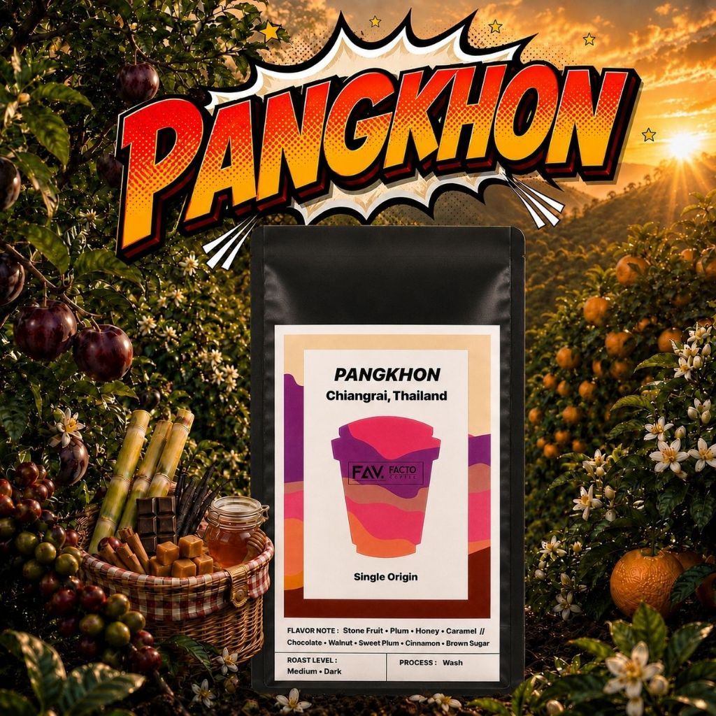 Fav.Facto Coffee เมล็ดกาแฟ(คั่วกลางและคั่วเข้ม) Pangkhonปางขอน ให้รสช๊อกโกแล็ต เข้มข้นสู้นม