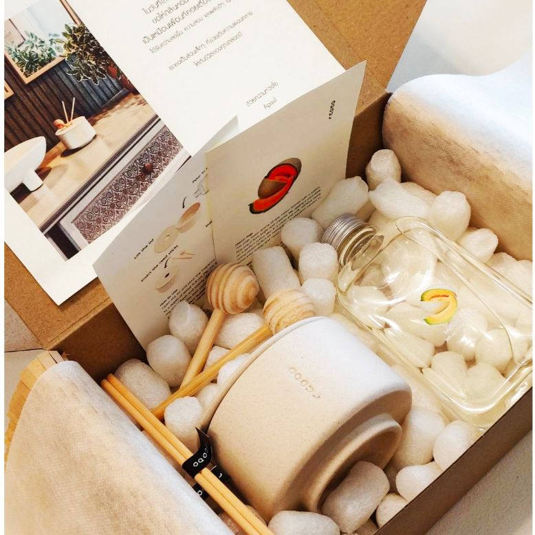 Apaul Ceramic Room Diffuser (Refillable Edition)