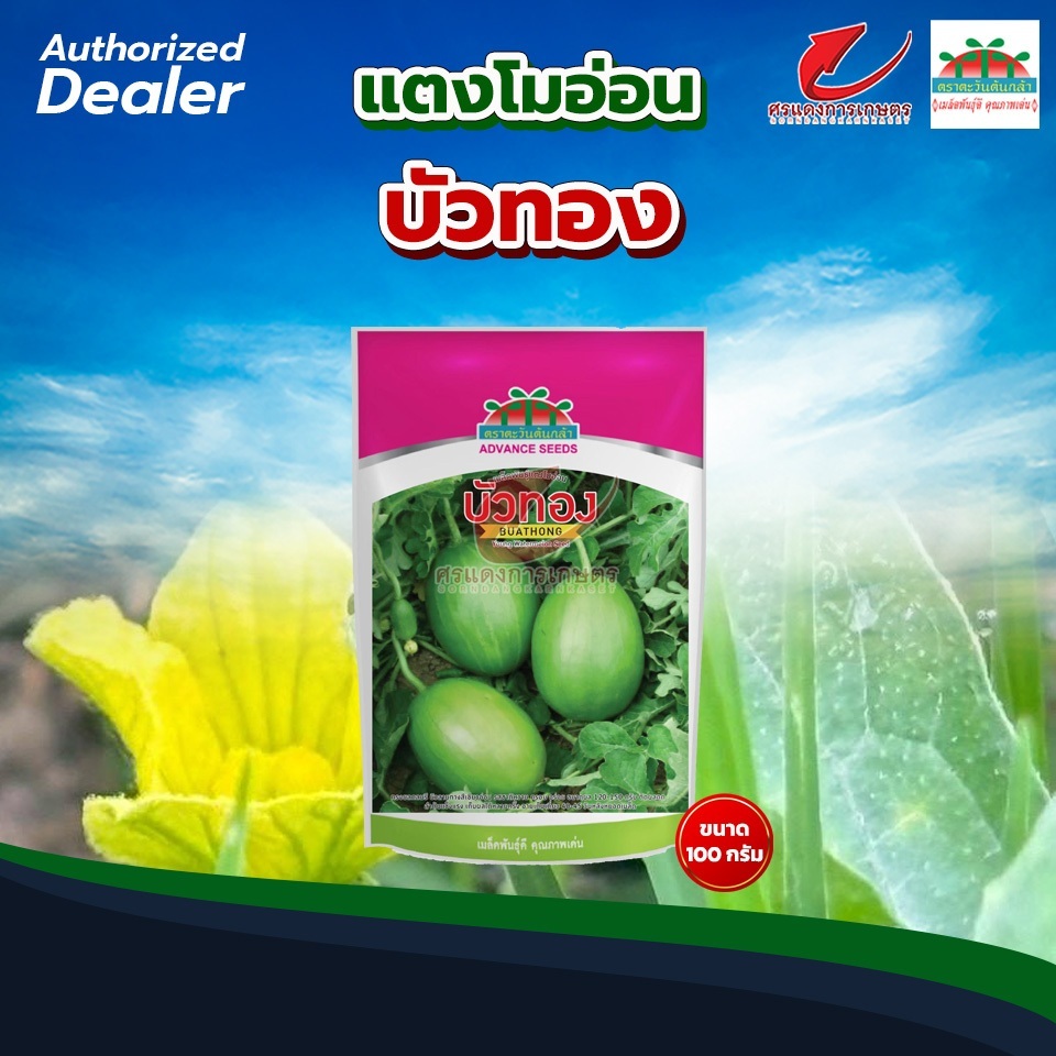 เมล็ดพันธุ์ แตงโมอ่อนบัวทอง 100g  250 กรัม