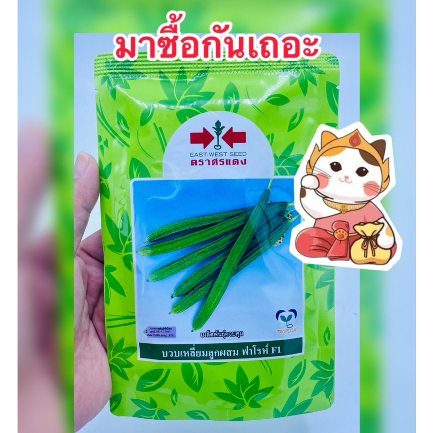 เมล็ดบวบเหลี่ยม ฟาโรห์ บ.ศรแดง บรรจุ320เมล็ด/ซอง