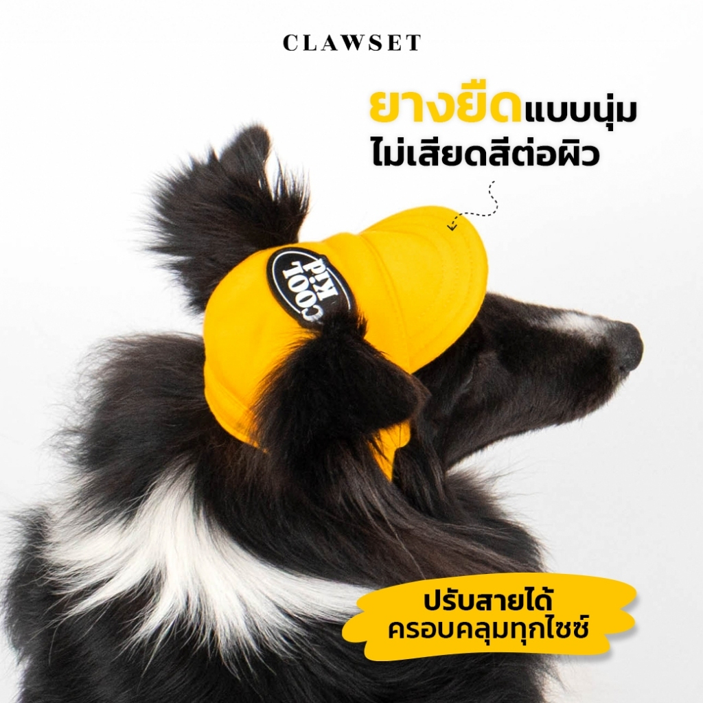 CLAWSET قبعة Coolkid للحيوانات قابلة للتعديل — صورة 5