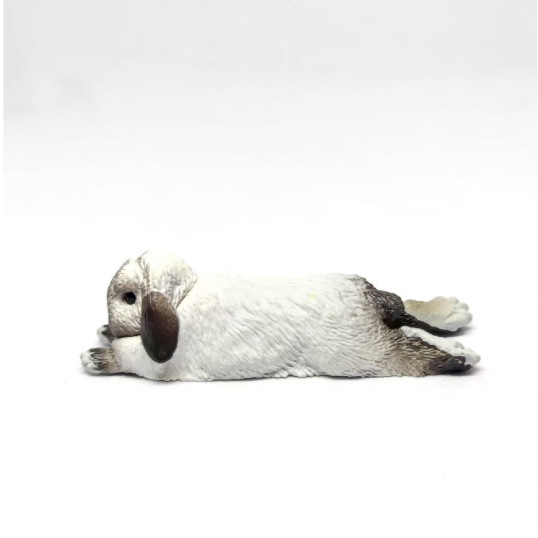 โมเดลโมโนโทนรูปกระต่ายหูตกสายพันธุ์ฮอลแลนด์ลอป (Holland Lop) ท่าทางนอนหมอบเหยียดตัว