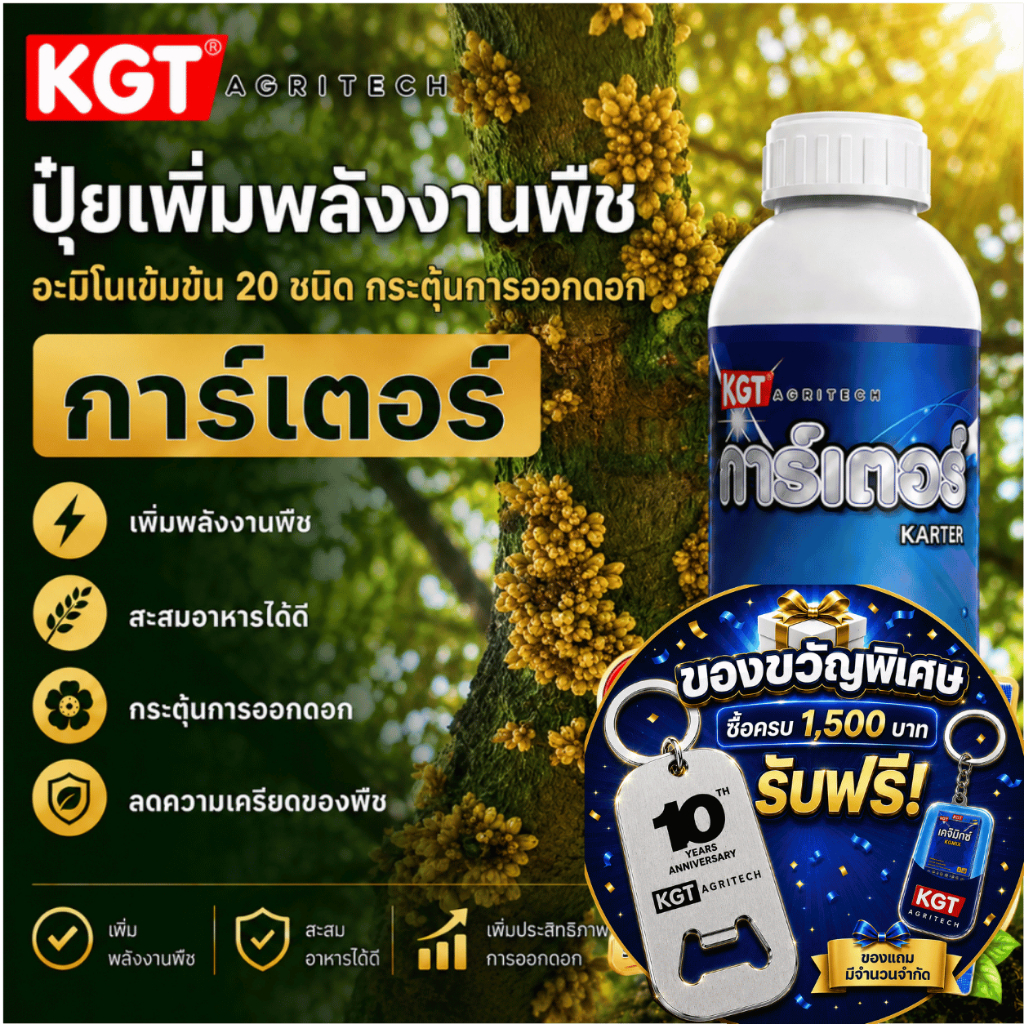 KGT การ์เตอร์ ปุ๋ยน้ำอะมิโนเข้มข้น 20 ชนิด สกัดจากปลาทะเล เพิ่มพลังงานพืช กระตุ้นการออกดอก ปุ๋ยเหลว ขนาด 1 ลิตร