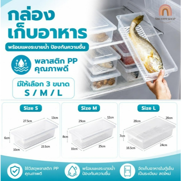 กล่องเก็บอาหาร กล่องพลาสติก สําหรับเก็บอาหารสด เนื้อสัตว์ ผัก ผลไม้ ในตู้เย็น มีแผ่นตะแกรงพลาสติก Fresh keeping box