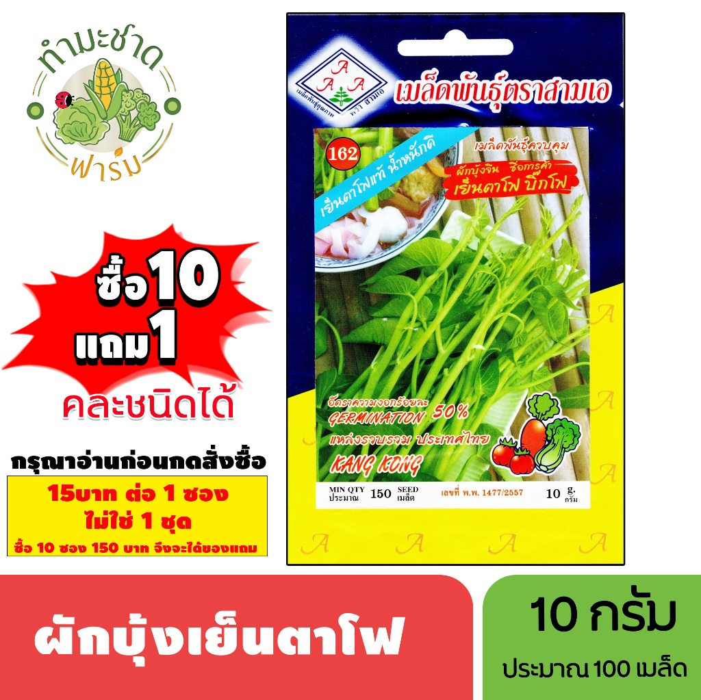 [1ซอง] 3A (ซื้อ10แถม1) เมล็ดพันธุ์ ผักบุ้งเย็นตาโฟ ขนาด10กรัม ประมาณ150เมล็ด KANG KONG ผักบุ้งแก้ว เ