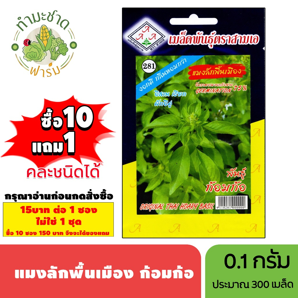 [1ซอง] 3A (ซื้อ10แถม1) เมล็ดพันธุ์ แมงลักพื้นเมือง ขนาด0.1กรัม ประมาณ300เมล็ด HOARY BASIL ก้อมก้อ ผักอิดู่ เมล็ดพันธุ์พื