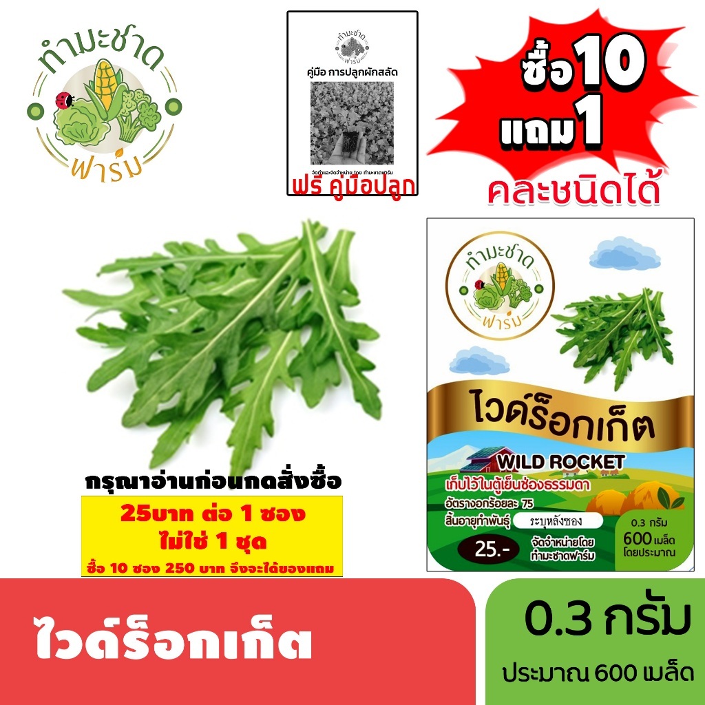 [1ซอง] ทำมะชาดฟาร์ม (ซื้อ10แถม1) เมล็ดพันธุ์ ไวด์ร็อกเก็ต ขนาด0.3กรัม ประมาณ600เมล็ด WILD ROCKET ผักสลัด เมล็ดพันธุ์พื