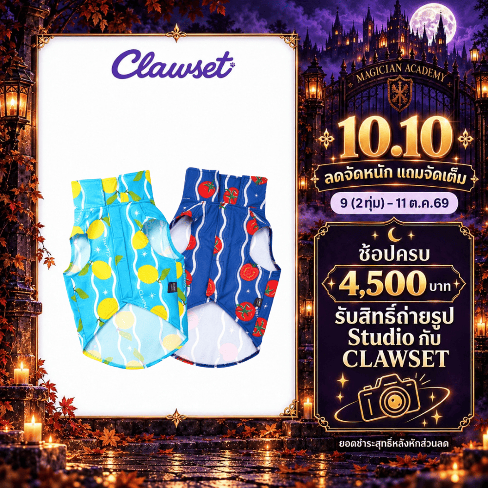 Clawset قميص هاواي بلا أكمام للكلاب والقطط — صورة 2