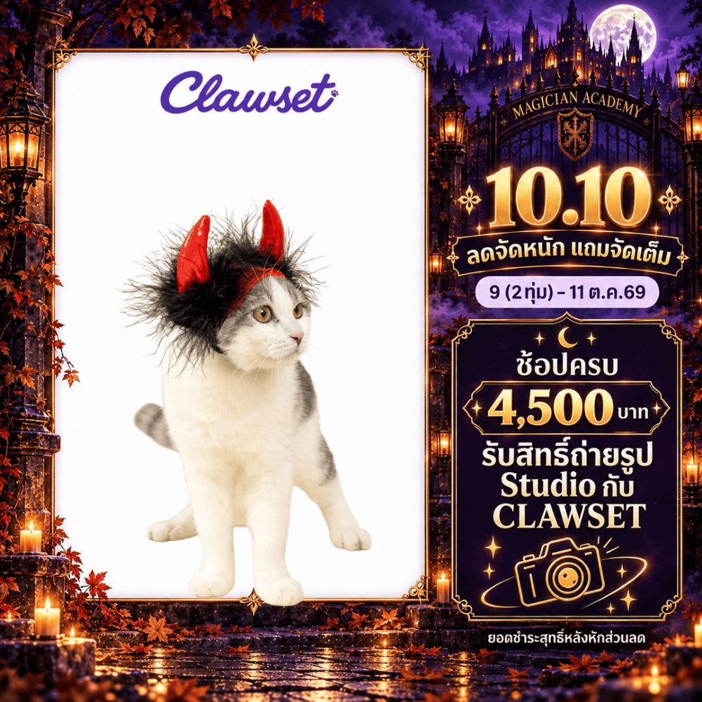 CLAWSET قبعة هالوين مصاص دماء للحيوانات (سعر خاص) — صورة 2