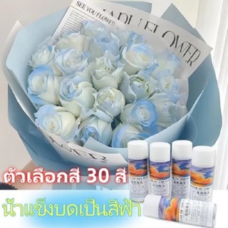 สีสเปรย์พ่นดอกไม้ 450 ml.(Flower Spray)สีสเปรย์ดอกไม้ สีสเปร…