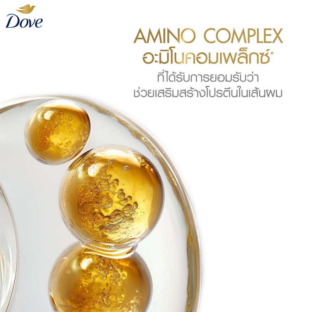 รูปภาพ 6