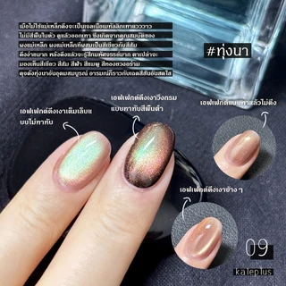สีทาเล็บ Kale Plus สีเล็บเจลลูกแก้ว เจลลูกแก้ว สีเล็บเจลลูกแก้วกล้องสลับลาย ลูกแก้ว 8ml - ต้องอบ