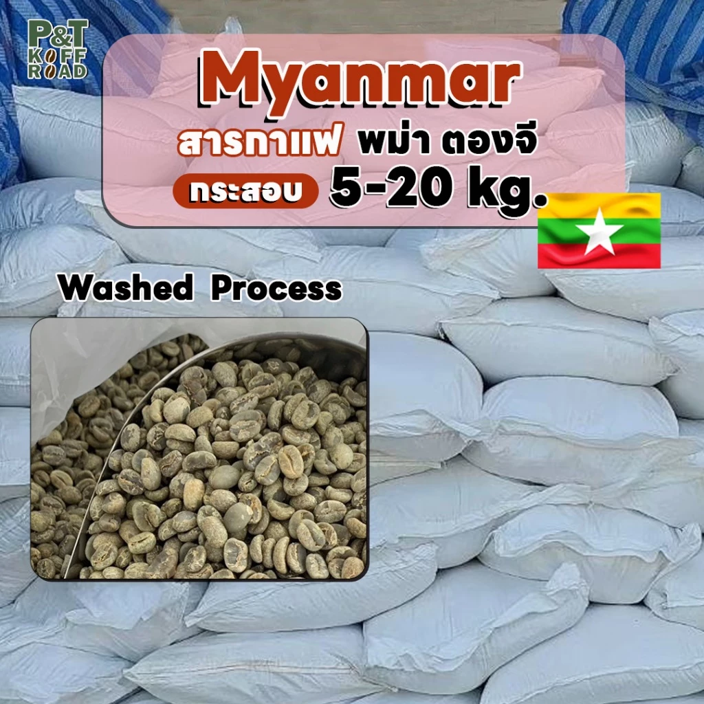 [💥กระสอบ 5 kg💯] พม่า ตองจี Myanmar Wash Process . P&T KoffRoad . สั่งซื้อเกิน 20kg ทักแชท