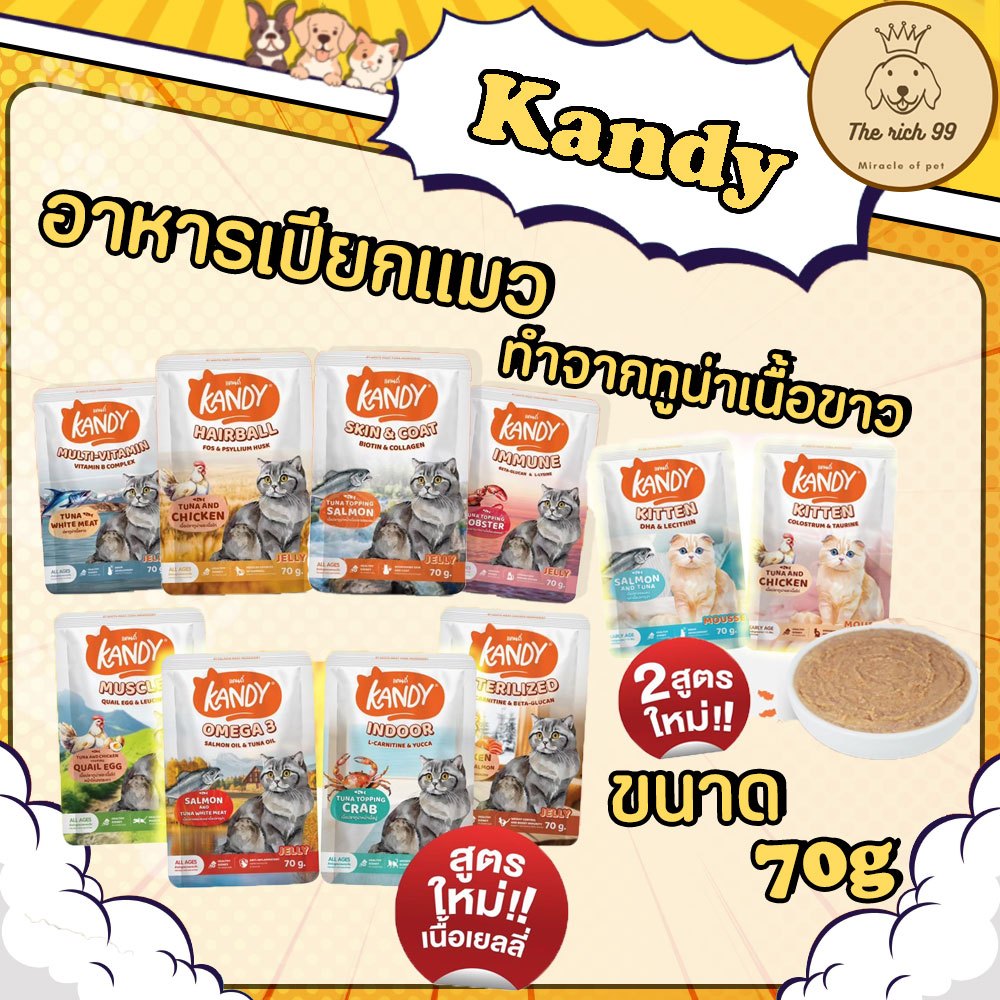 (ซอง) Kandy อาหารเปียกแมวแคนดี้ เนื้อเยลลี่ 70g ไม่เติมเกลือ