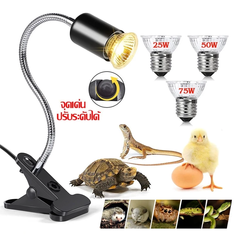 ขั้วหลอดไฟเซรามิค หลอดไฟ e27 led ทนความร้อนโคมไฟ สำหรับเต่าน้ำเต่าบก​ลูกนก สวิตช์ปรับแสงได้ตามใจชอบ