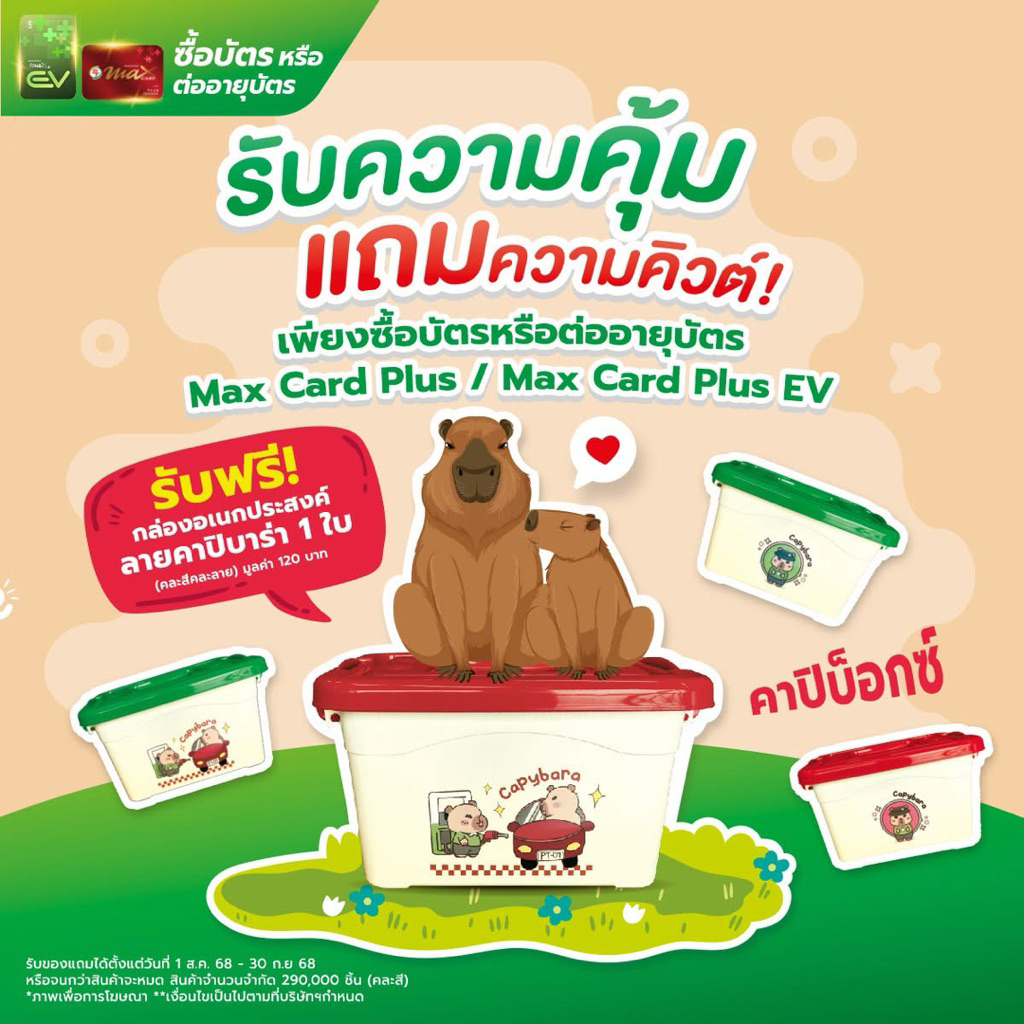 บัตร Maxcardplus+กล่องคาปิบาร่า