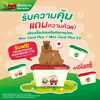 บัตร Maxcardplus+กล่องคาปิบาร่า
