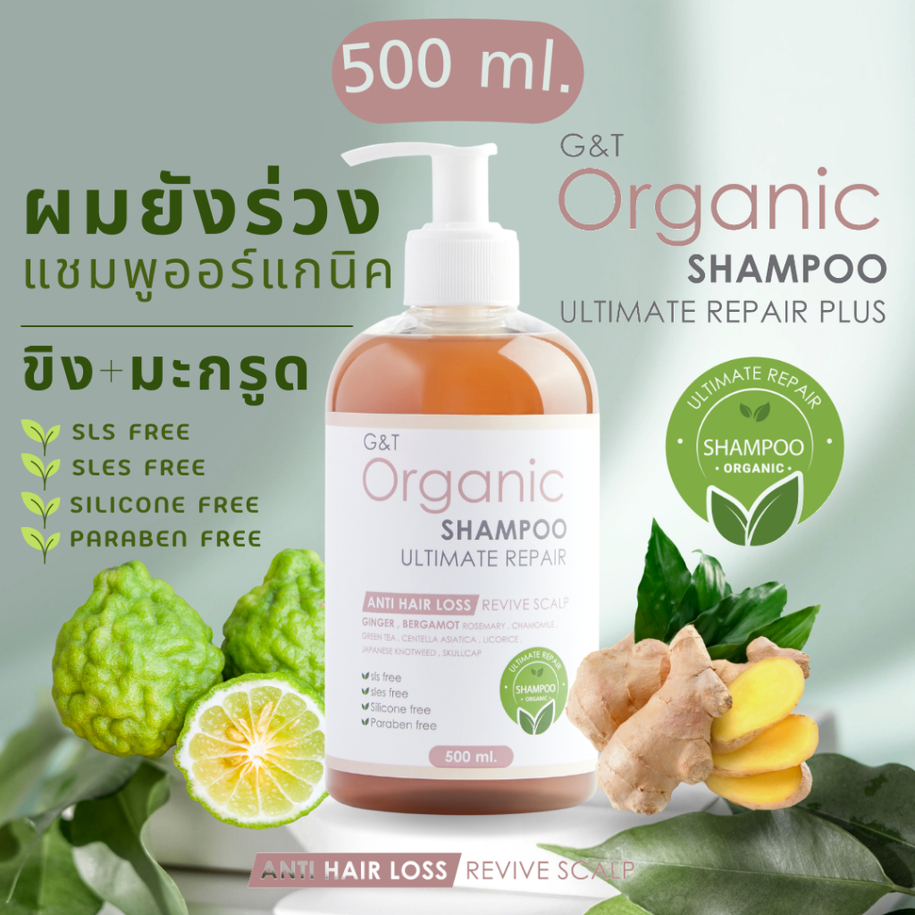 แชมพูขิง+มะกรูด สูตรออร์แกนิค G&T Organic Ultimate Repair ยาสระผมสำหรับเส้นผมและหนังศีรษะ สารสกัดสมุนไพร 500ml.