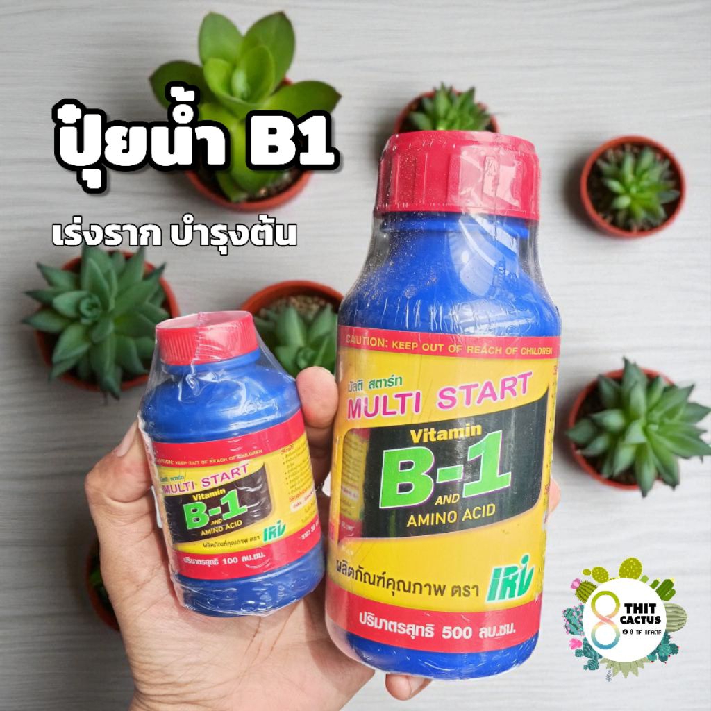 // ปุ๋ยB1 // 100 500ml // B-1 วิตามินB1 บีวัน บำรุงเร่งราก แคคตัส กระบองเพชร