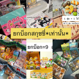 (สกุชชี่ยกบ็อก) มีหลายแบรนด์ กล่องสุ่มสกุชชี่จิ๋ว สกุชชี่หม้…