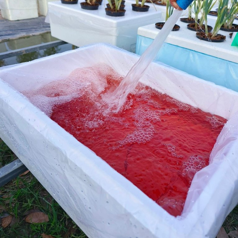 ถุงคลุมกล่อง เกรด A ขนาดกล่องกุ้ง คุณภาพดี ทนทาน ทำความสะอาดง่าย ใช้ซ้ำได้หลายรอบ (1 แพ็คมี 30-32 ใบ) - เกษตรกรรมยั่งยืน - รูปที่ 3