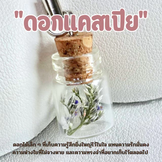 พวงกุญแจ ดอกไม้แห้ง ขวดจิ๋ว เสริมโชคลาภ ดอกสแตติส ดอกยิปโซ ของปัจฉิม ของขวัญ การ์ดปัจฉิม ของชําร่วย ของแจก