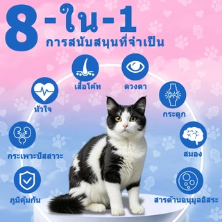 Popoo Multivitamins for Cats Supplements วิตามินแมว บำรุงสะโพกและข้อ ผิวหนังและขน การทำงานของลำไส้ อาหารแมว 120 แคปซูล