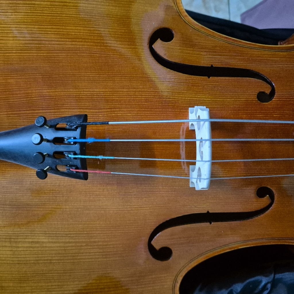 สายเชลโล Steel Core สำหรับนักเรียน (Cello String)