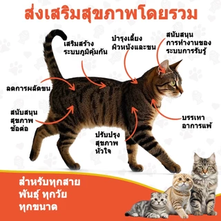 Popoo Omega 3 Fish Oil for Cats น้ํามันปลา บำรุงขน ผิวหนังและข้อต่อ สำหรับสุนัขแลทุกวัย วิตามินแมว 120 แคปซูล