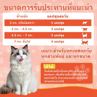 Popoo Omega 3 Fish Oil for Cats น้ํามันปลา บำรุงขน ผิวหนังและข้อต่อ สำหรับสุนัขแลทุกวัย วิตามินแมว 120 แคปซูล