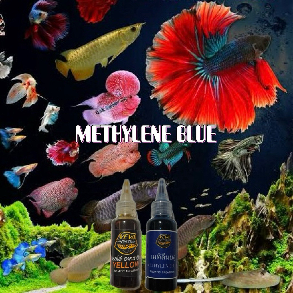 เมทิลีน บลู  METHYLENE BLUE สำหรับดูแลปลาสวยงาม