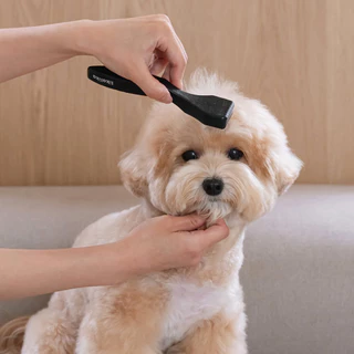 VELKYBARK [พร้อมส่ง] Likalika 🇰🇷 แปรงสัตว์เลี้ยง หวีสำหรับสัตว์เลี้ยง แปรงหวีขนสุนัข