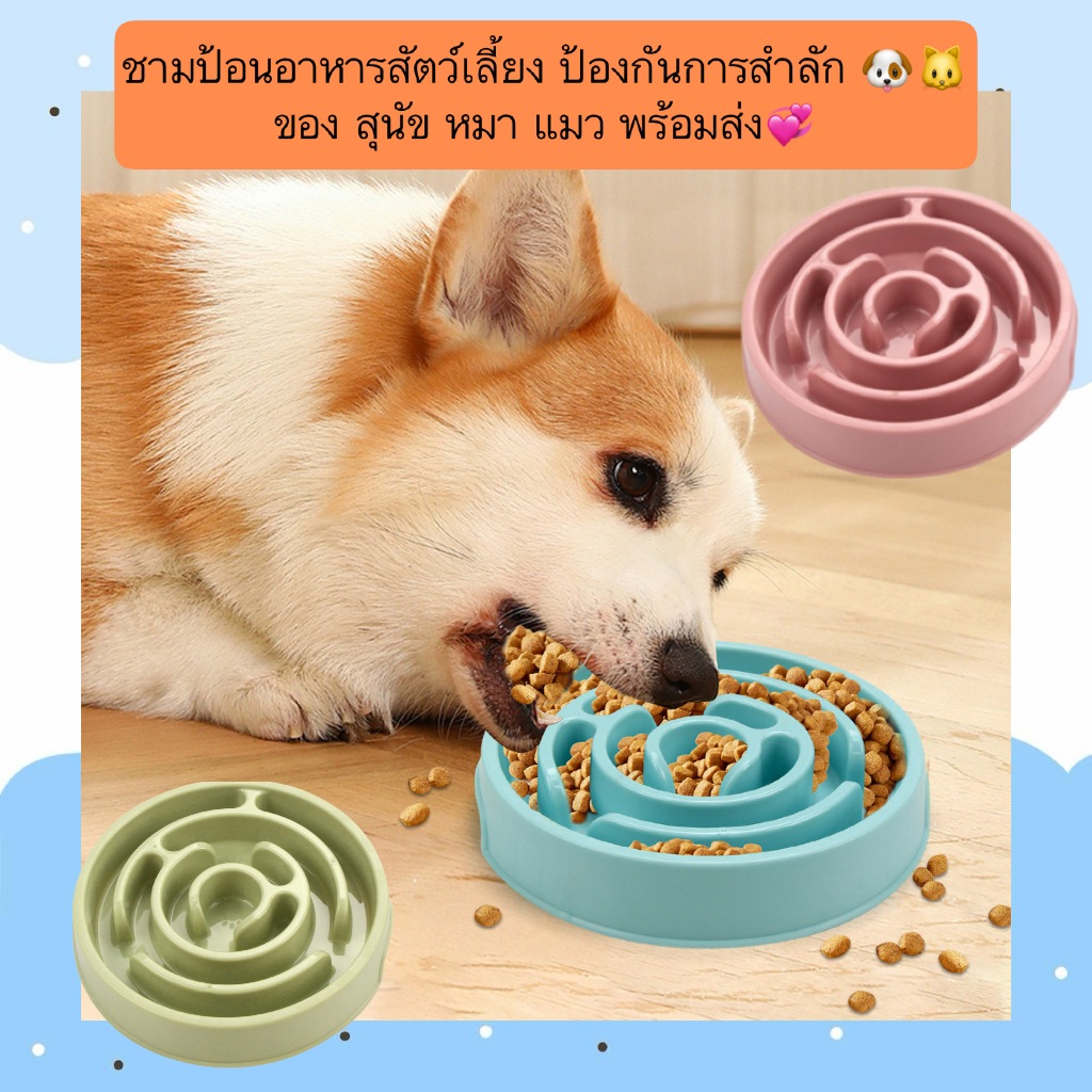 AL-426 ชามสัตว์เลี้ยง พลาสติก ใส่อาหาร ป้องกันการสำลักของ สุนัข หมา แมว พร้อมส่ง💞
