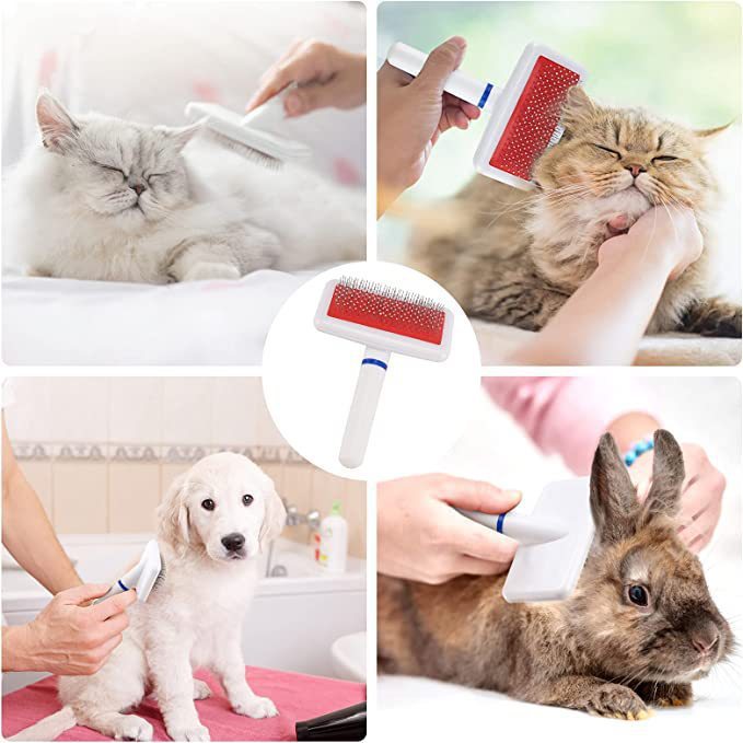 ที่แปรงขนสุนัข/แมว🐶🐈 - รูปที่ 2