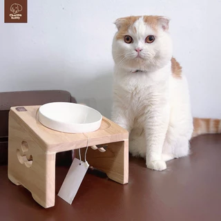 😽ชามเเมวยกสูง ลายน้องเเมว + ถ้วยเซรามิก5" ลดการปวดคอ น่ารักพรีเมียม ลายไม่ซ้ำใคร✨ งานไม้เเท้
