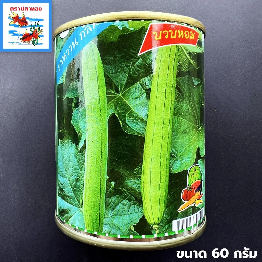 เมล็ดบวบหอม กระป๋อง ขนาด 60 กรัม ตราปลาทอง งอกดี ปลูกง่าย โตไว ผลผลิตสูง
