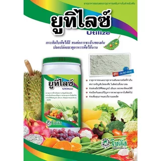 ยูทิไลซ์ ธาตุอาหารที่จำเป็นต่อการเจริญเติบโตของพืช 1 กิโลกรัม