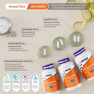 แอล-คาร์นิทีน | L-Carnitine Tartrate 250 MG / 500 MG [Capsules] by NOW FOODS | Authentic Made in USA