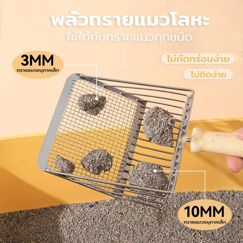 รูปภาพ 7