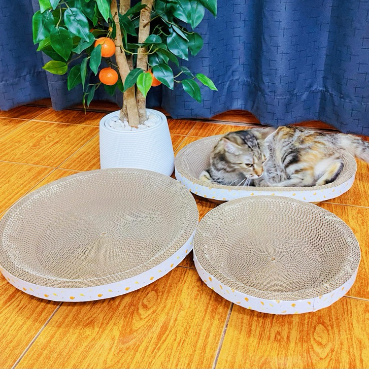 อ่างลับเล็บเเมวลายผลไม้ สุดน่ารัก ที่ฝนเล็บ แผ่นลับเล็บ ที่ลับเล็บแมว cat scratcher
