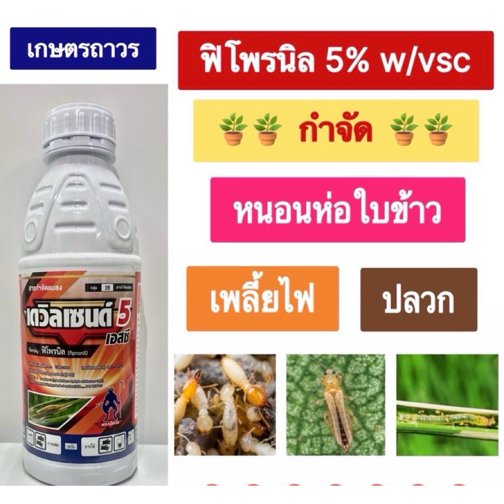 เดวิลเซนด์ 5scขนาด 500 ซีซี คือ แอสเซนด์  สารฟิโพรนิล  สูตรเย็นกำจัดได้ทั้ง หนอนห่อใบข้าว  เพลี้ยไฟ และปลวก