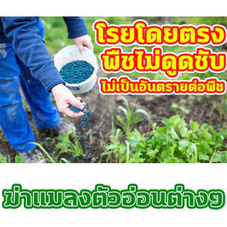 ขายดี‼️ ยาฆ่าหอย ยาฆ่าหอยทาก ยาเบื่อหอย สารกำจัดหอย ไม่มีพิษต่อพืชผักสวนครัว bนำเข้า