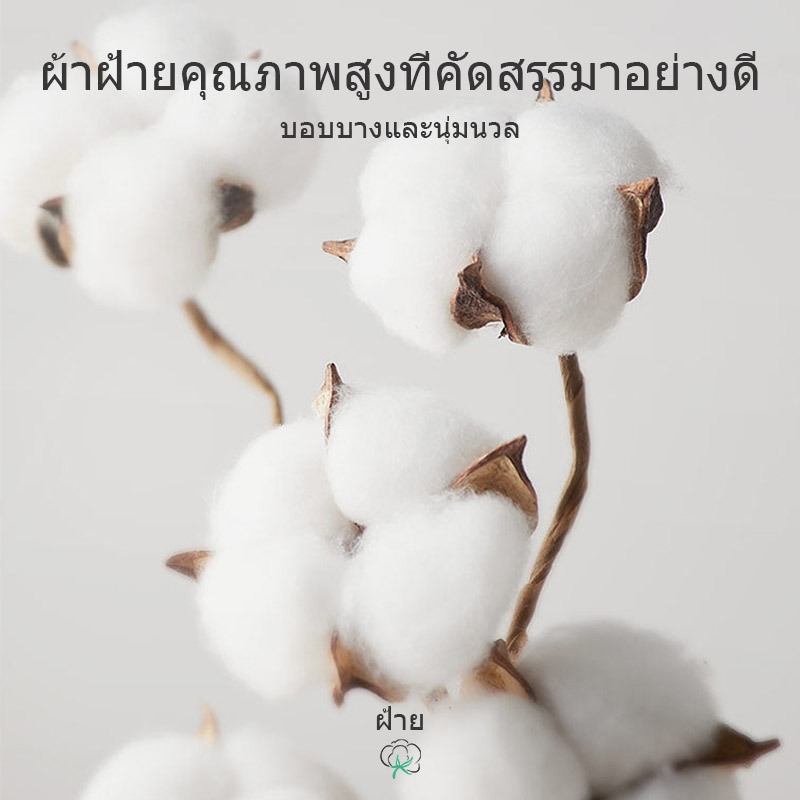 รูปภาพ 4