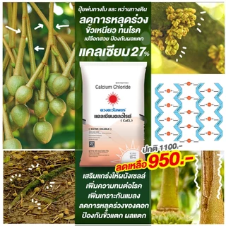 แคลเซียมคลอไรด์ CaCl2 ขนาด 25 กก. (Ca 27%) ช่วยป้องกันดอกหลุดร่วง ป้องกันผลแตก ผนังเซลล์พืชแข็งแรง