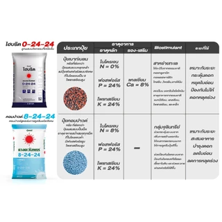 ปุ๋ยคอมปาวด์ 8-24-24 ขนาด 25 กก . สูตรสะสมอาหารมี Biostimulant กลุ่มช่วยเร่งการดูดซึมของระบบราก